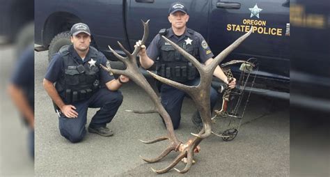 'Elk fever': Poacher gives strange excuse for killing elk, wounding additional animals in Oregon